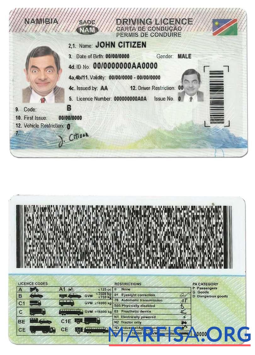 Blank Namibia driving license sample